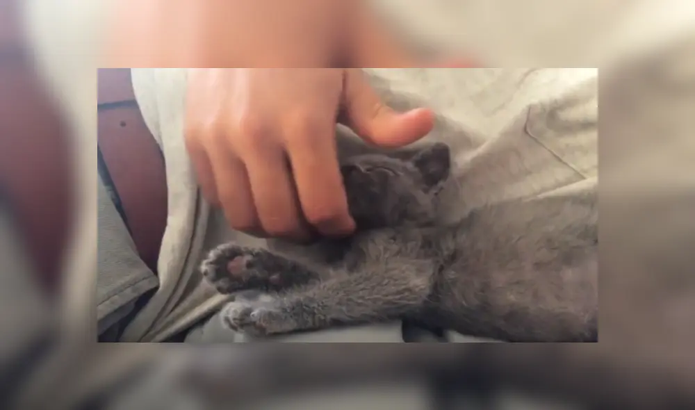 Desliza hacia la izquierda para ver más del video viral