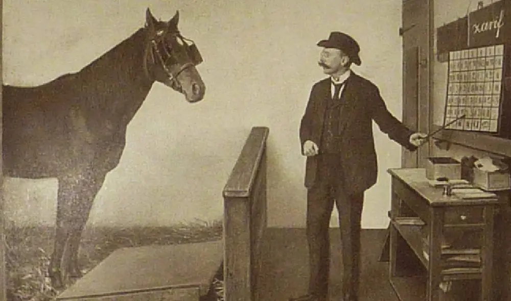 Clever Hans no solo se volvió popular en Alemania sino también en toda Europa. Foto: Captura/YouTube/Experto Animal