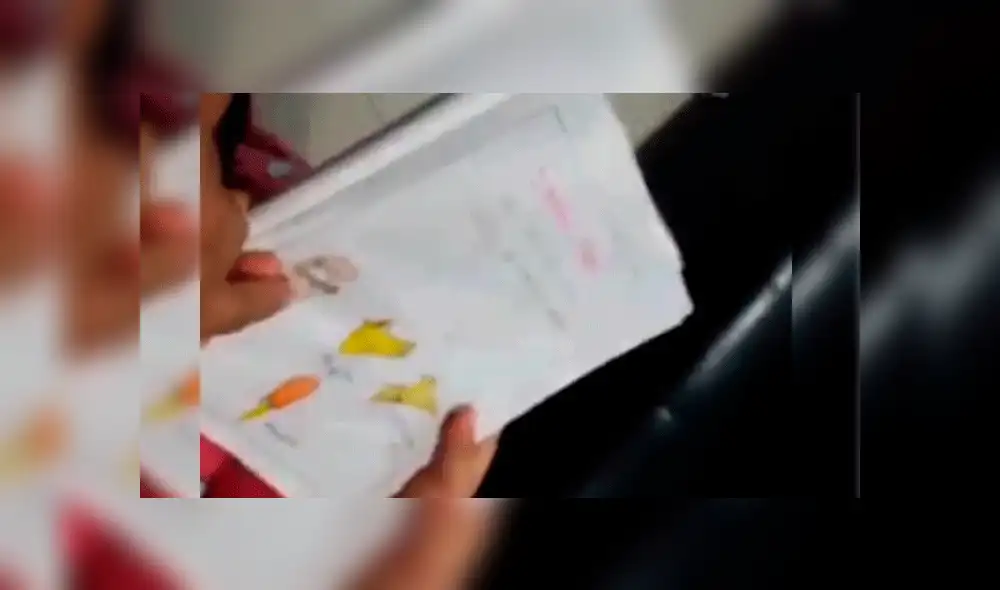 Vía Facebook: niña explica su tarea sobre la vida de un pollo a su padre y hace reír a todo Internet [VIDEO]