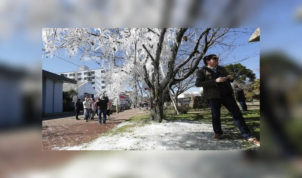 BRA01. SÃO JOAQUIM (BRASIL), 21/08/2020 -Personas caminan junto a un árbol congelado este viernes en la ciudad de Sao Joaquim en Santa Catarina (Brasil). El sureño estado de Santa Catarina, en la región Sur de Brasil y fronterizo con Argentina, amaneció este viernes con temperaturas por debajo de los -8°C, con árboles congelados y expectativa de nieve para las próximas horas. EFE/Guilherme Hahn BRA01. SÃO JOAQUIM (BRASIL), 21/08/2020 -Personas caminan junto a un árbol congelado este viernes en la ciudad de Sao Joaquim en Santa Catarina (Brasil). El sureño estado de Santa Catarina, en la región Sur de Brasil y fronterizo con Argentina, amaneció este viernes con temperaturas por debajo de los -8°C, con árboles congelados y expectativa de nieve para las próximas horas. EFE/Guilherme Hahn