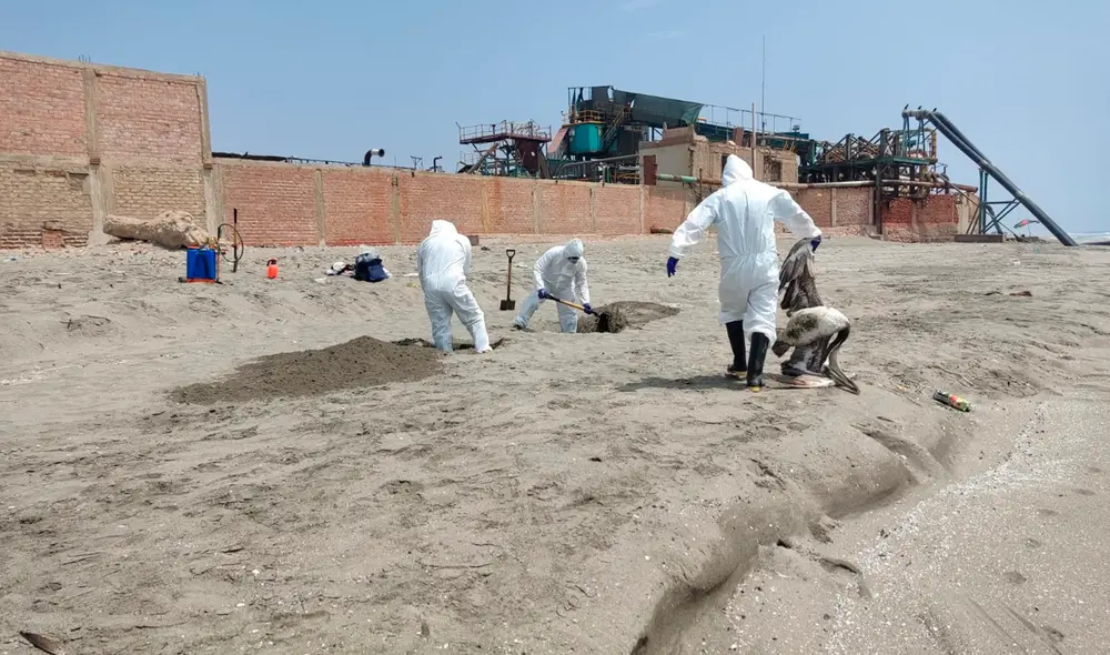 alerta epidemiológica por 180 días para monitorear todo el litoral.