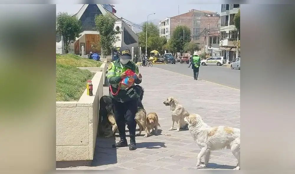 Policía se dispone a alimentar a los canes que la rodean en Cusco. Foto: Facebook