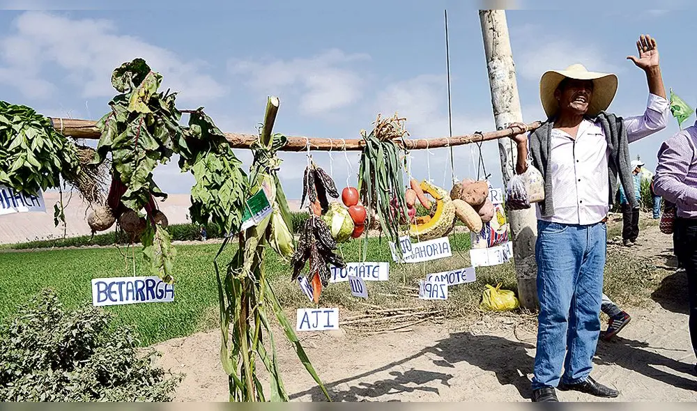 el dato Pobladores del valle de Tambo hicieron gran movilización desde calles de Cocachacra hasta llegar a anexo El Fiscal, ubicado en la Panamericana Sur. el dato Pobladores del valle de Tambo hicieron gran movilización desde calles de Cocachacra hasta llegar a anexo El Fiscal, ubicado en la Panamericana Sur.