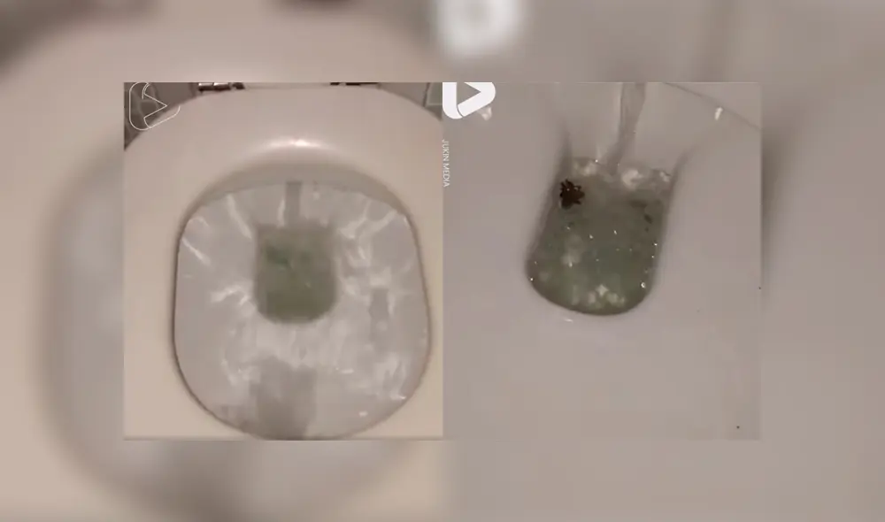 Desliza para ver los momentos más aterradores del video que se volvió viral en YouTube.