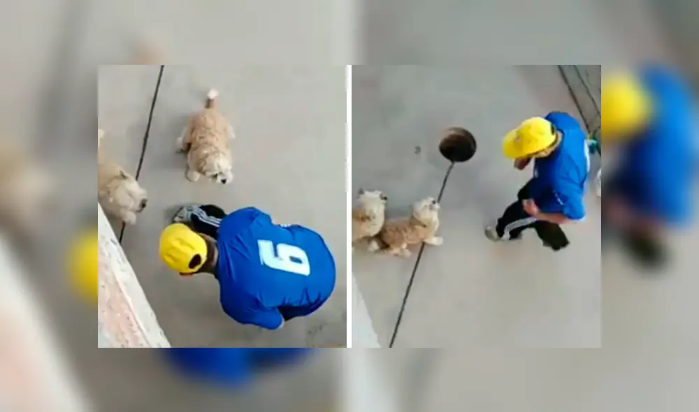 Desliza las imágenes para observar el amoroso momento entre un señor junto a las mascotas de su hija. Foto: Captura. Desliza las imágenes para observar el amoroso momento entre un señor junto a las mascotas de su hija. Foto: Captura.