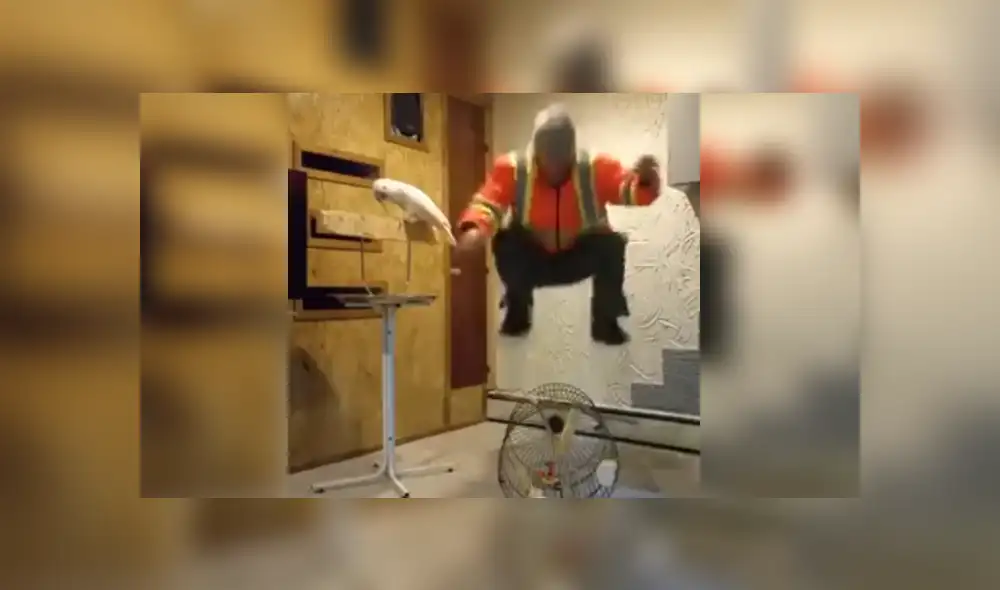 Desliza para ver el desenlace de este video viral publicado en YouTube. Foto: Captura.