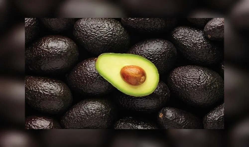 Palta Palta