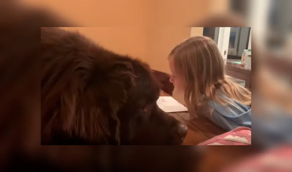 Es viral en Facebook. La peculiar conducta del can sorprendió a la mamá de la niña. Quien no dudó en grabarla para compartirla en redes Es viral en Facebook. La peculiar conducta del can sorprendió a la mamá de la niña. Quien no dudó en grabarla para compartirla en redes