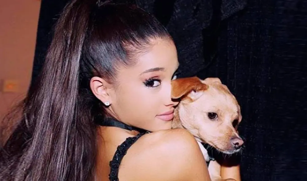 Ariana Grande creó sitio de rescate para animales. Foto: Instagram Ariana Grande creó sitio de rescate para animales. Foto: Instagram