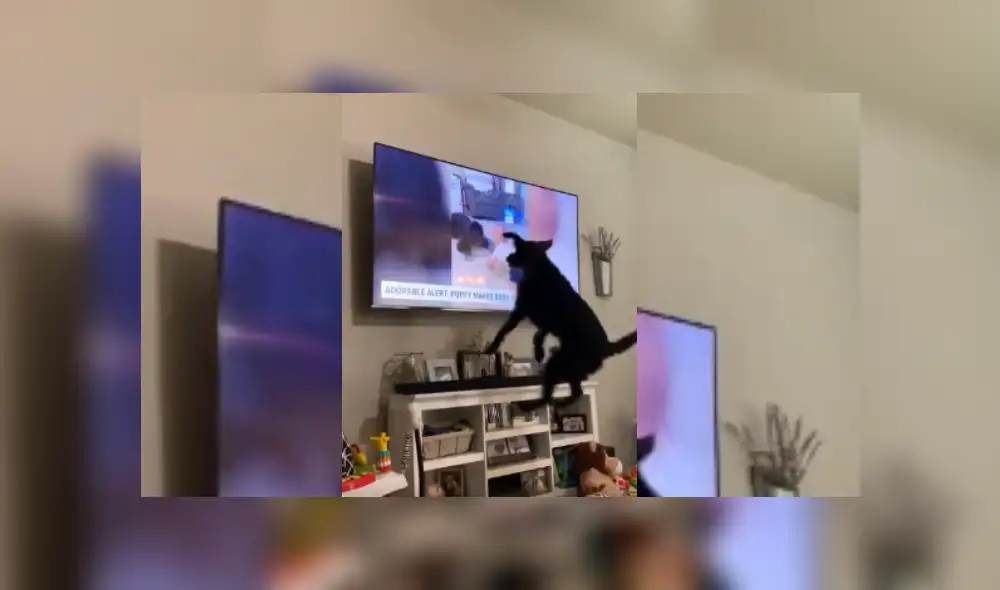 Desliza hacia la izquierda para ver más del video viral. Desliza hacia la izquierda para ver más del video viral.