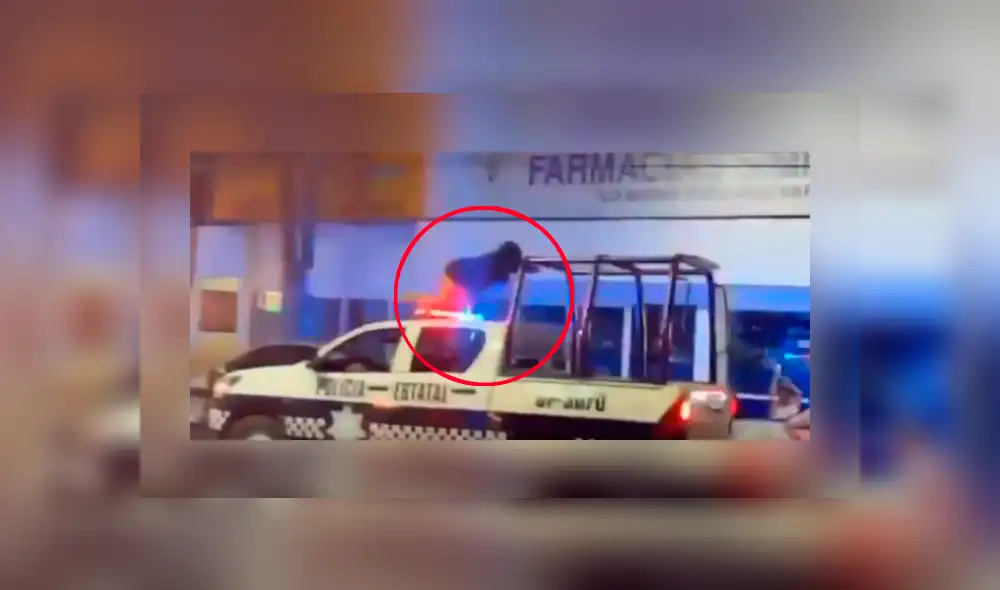 Facebook viral: Joven se sube a carro de Policía y hace atrevido ‘twerking’ [VIDEO]