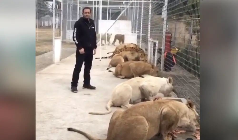 Desliza hacia la izquierda para ver las imágenes del video viral. Foto: captura de YouTube.