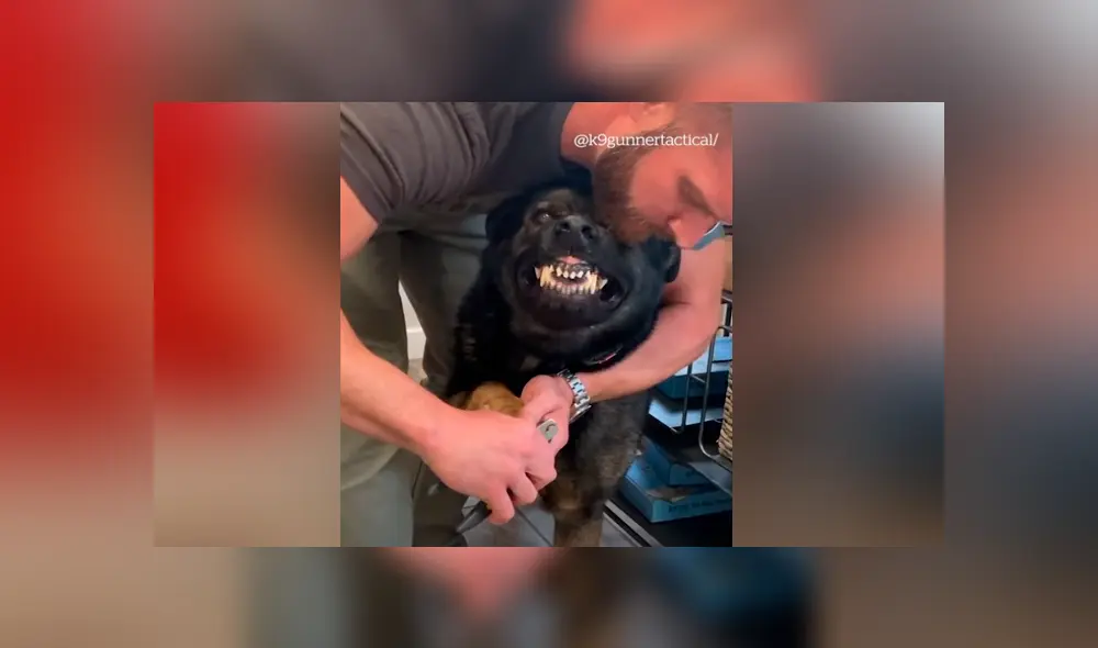 Desliza para ver los momentos más divertidos del video que se hizo viral en Facebook. Desliza para ver los momentos más divertidos del video que se hizo viral en Facebook.