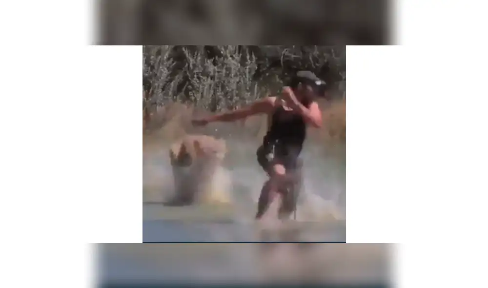 Feroz leona se encuentra con osado turista dentro de su hábitat y el desenlace impacta a miles [VIDEO]