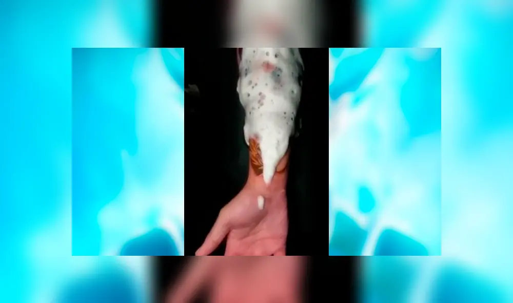 Facebook viral: fan de Dragon Ball Super se hace tatuaje ‘ultra realista’ de Vegeta y emociona a fans