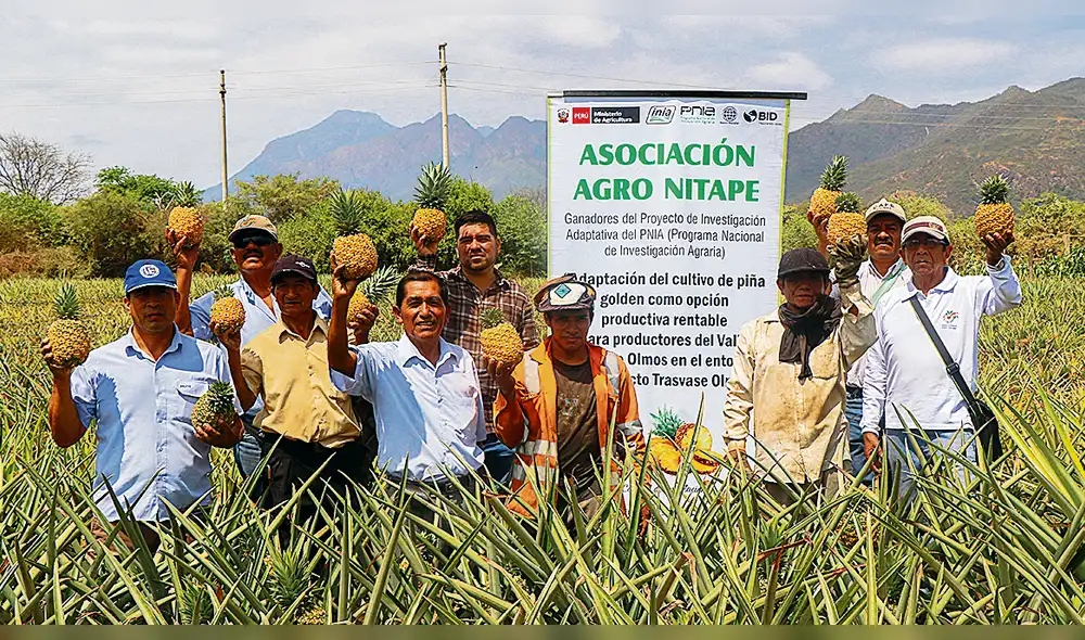 Más de US $750 millones han invertido empresas agroindustriales en Olmos
