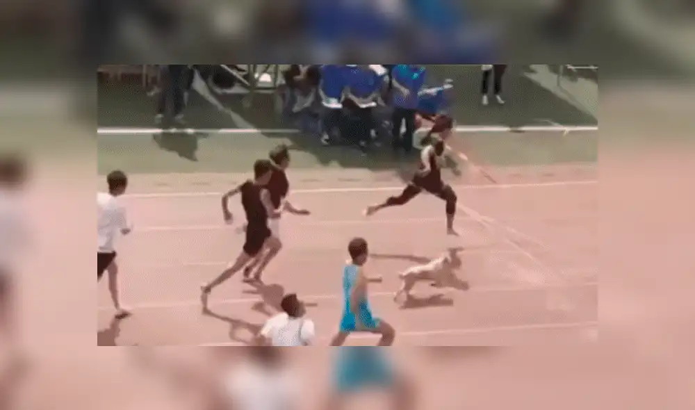 Youtube viral: Atletas quedan en ridículo por perro callejero que se coló en competencia [VIDEO]