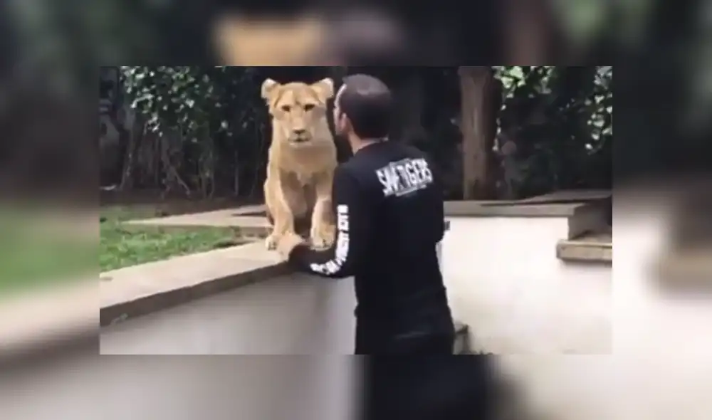 Desliza hacia la izquierda para ver las imágenes del viral de Facebook. Foto: Black Jaguar While Tiger Desliza hacia la izquierda para ver las imágenes del viral de Facebook. Foto: Black Jaguar While Tiger