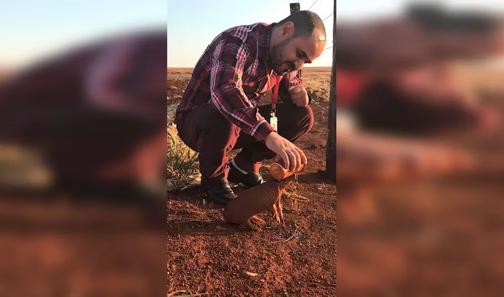 Desliza las imágenes para apreciar el tierno gesto de un hombre al brindar agua a un pequeño armadillo. Foto: Captura de YouTube