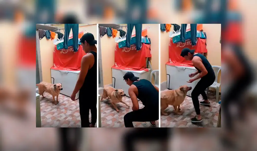 Desliza las imágenes para observar los movimientos que realizó un joven junto a su perro para pasar un reto de baile.