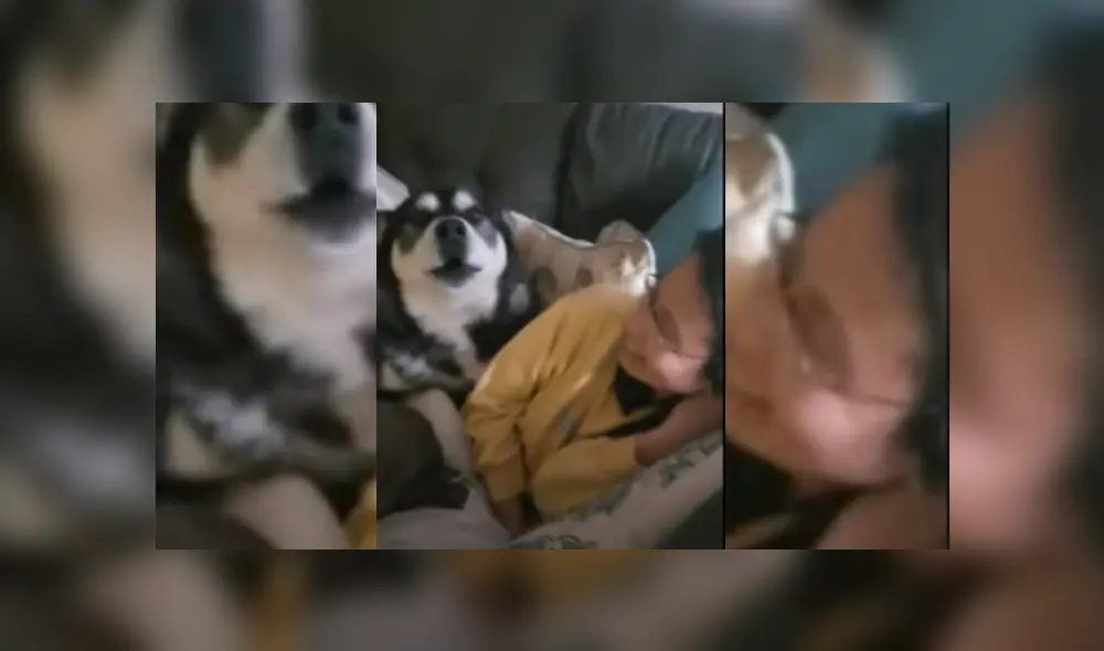 Desliza hacia la izquierda para ver las fotos del viral