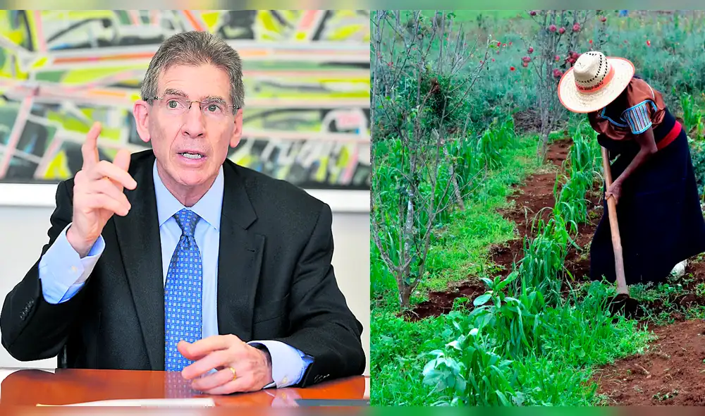 “Sector agrícola es fuente de ingreso para 1 de cada 4 peruanos”