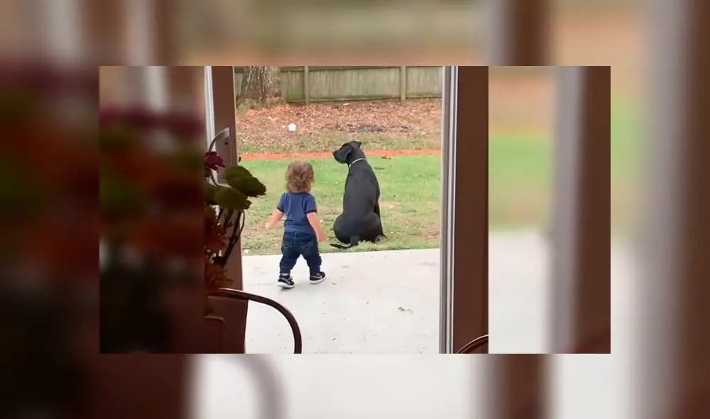 En Facebook, un pequeño se acercó a su mascota para darle un emotivo abrazo y fue descubierto por su madre. En Facebook, un pequeño se acercó a su mascota para darle un emotivo abrazo y fue descubierto por su madre.