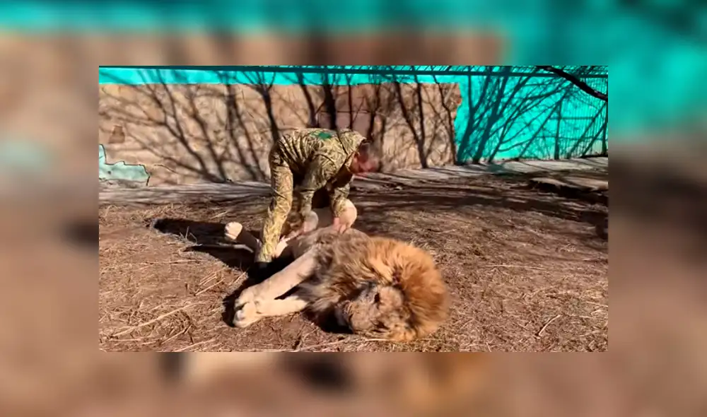 Desliza hacia la izquierda para ver el encuentro que se volvió viral en Facebook de un hombre con un perezoso león. Desliza hacia la izquierda para ver el encuentro que se volvió viral en Facebook de un hombre con un perezoso león.