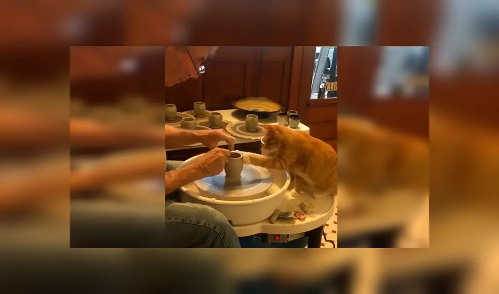 En Facebook, un travieso gato miraba atento las labores de alfarería de su dueño y trata de ‘ayudarlo’.
