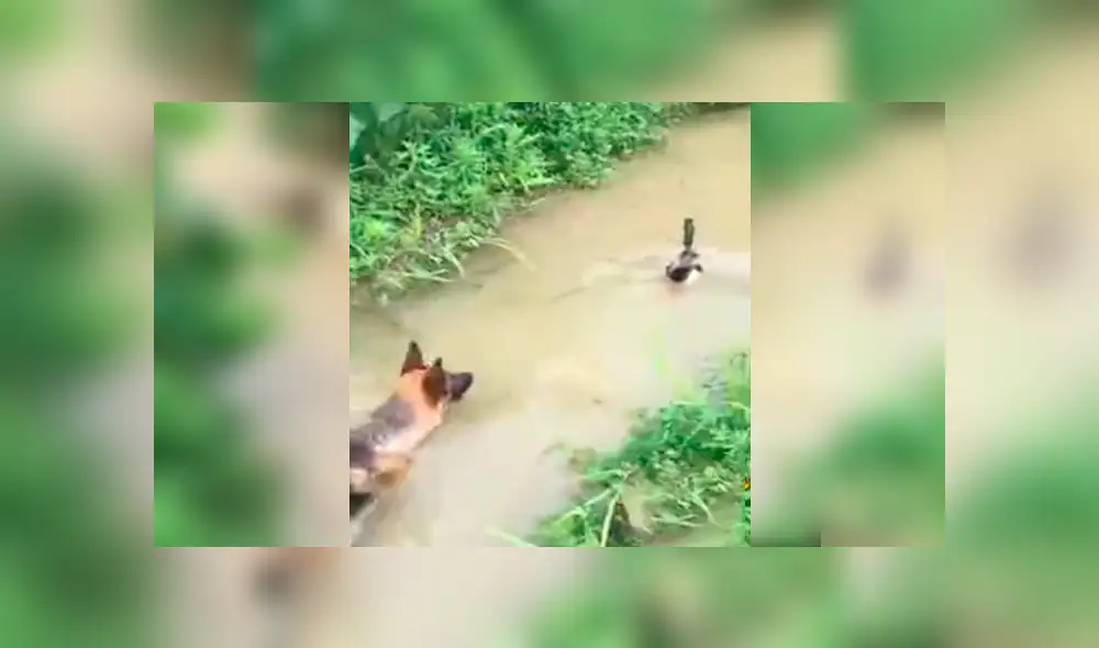 Desliza para ver el video viral de YouTube. Foto: Captura.