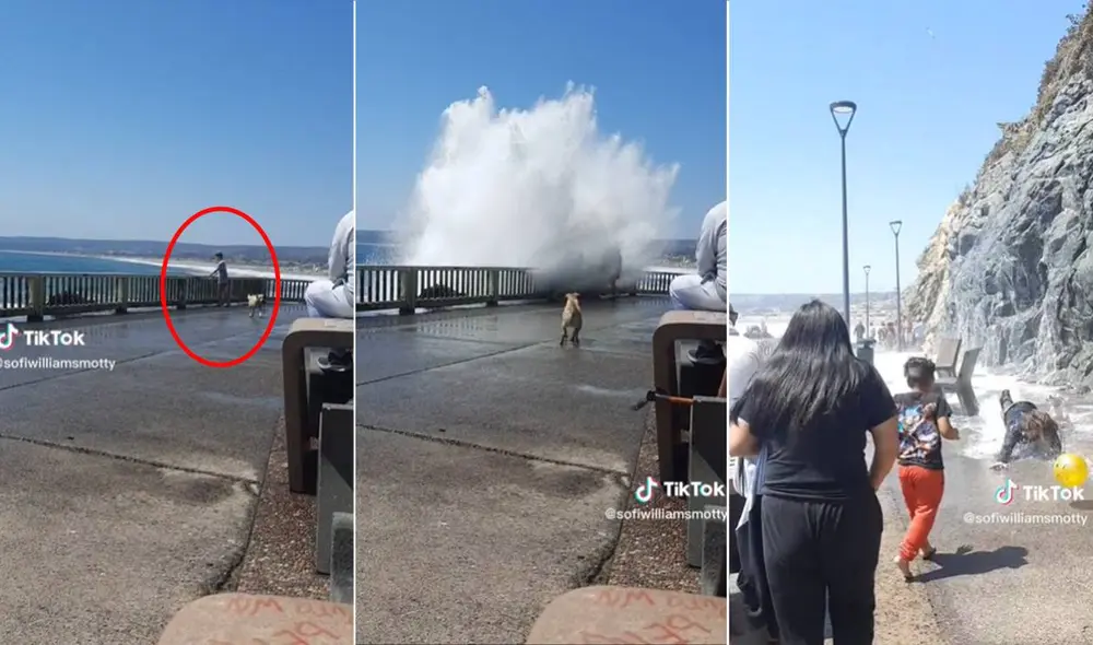 El video ha sumado más de cinco millones y medio de reproducciones en TikTok. Foto: composición LR/captura de TikTok/@sofiwilliamsmotty