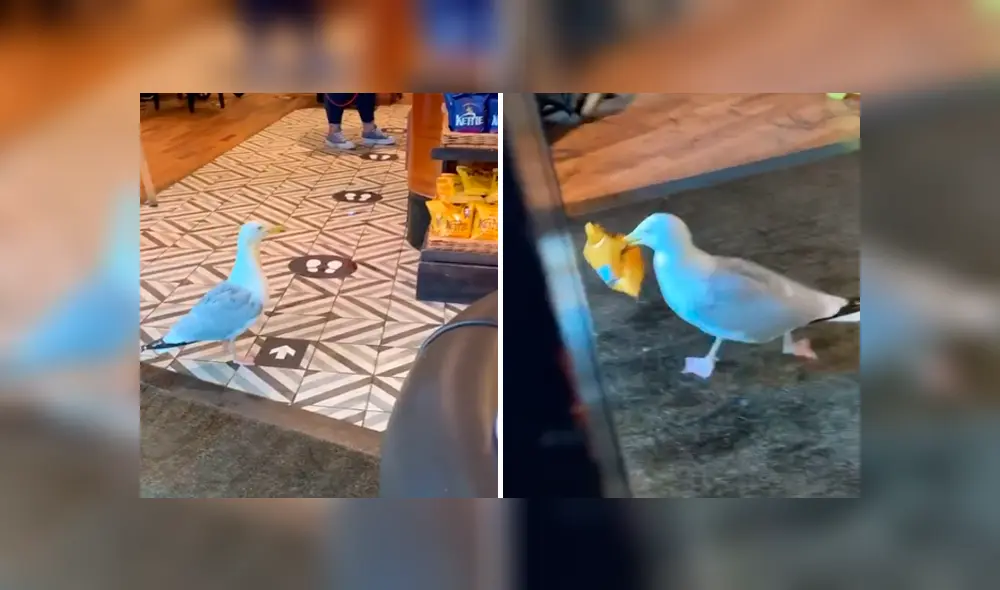 Desliza la imagen para verlas todas. Foto:  kerricoo1991 / TikTok