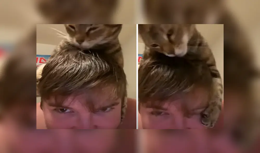 Desliza hacia la izquierda para ver las tiernas imágenes del viral de Facebook.