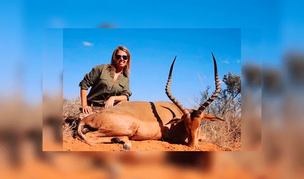 Cazadora come carne de jirafa que mató y asegura que es "deliciosa"