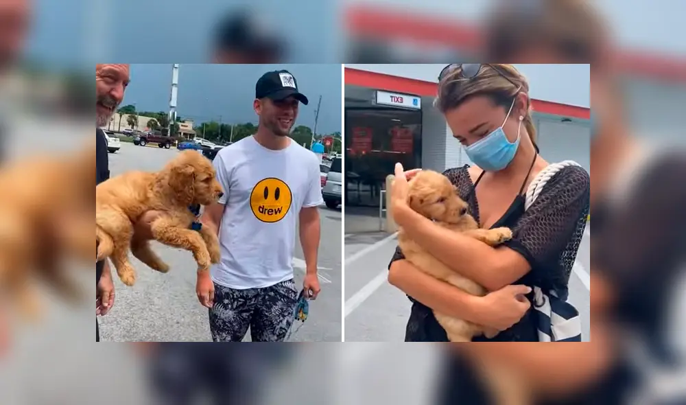 El regalo fue un goldendoodle, una raza creada a partir del cruce de un Golden retriever y un Caniche. Foto: sillybillythedoodle / Instagram El regalo fue un goldendoodle, una raza creada a partir del cruce de un Golden retriever y un Caniche. Foto: sillybillythedoodle / Instagram