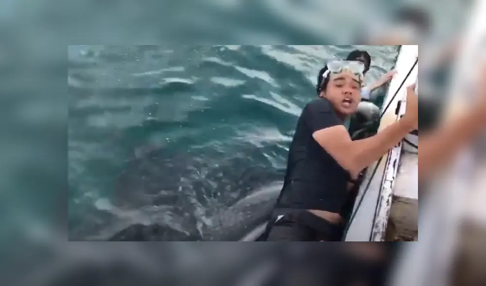 Desliza hacia la izquierda para ver las imágenes del viral de YouTube. Foto: Captura. Desliza hacia la izquierda para ver las imágenes del viral de YouTube. Foto: Captura.