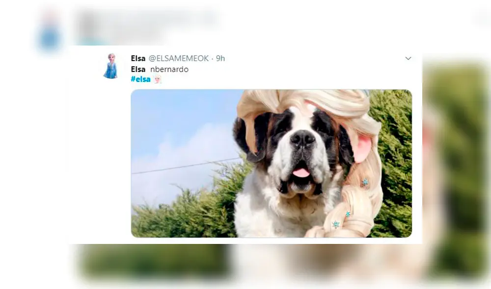 En Facebook, el personaje principal de la película animada ‘Frozen’ se ha convertido en el primer meme del 2020.