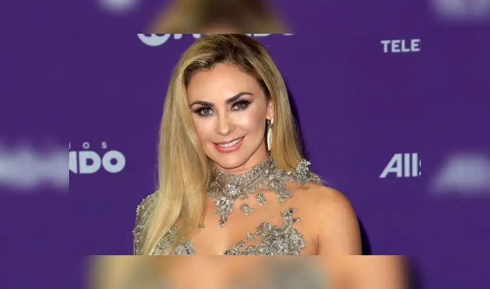 Aracely Arámbula cumplirá 45 años el próximo 6 de marzo. (Foto: La Verdad)