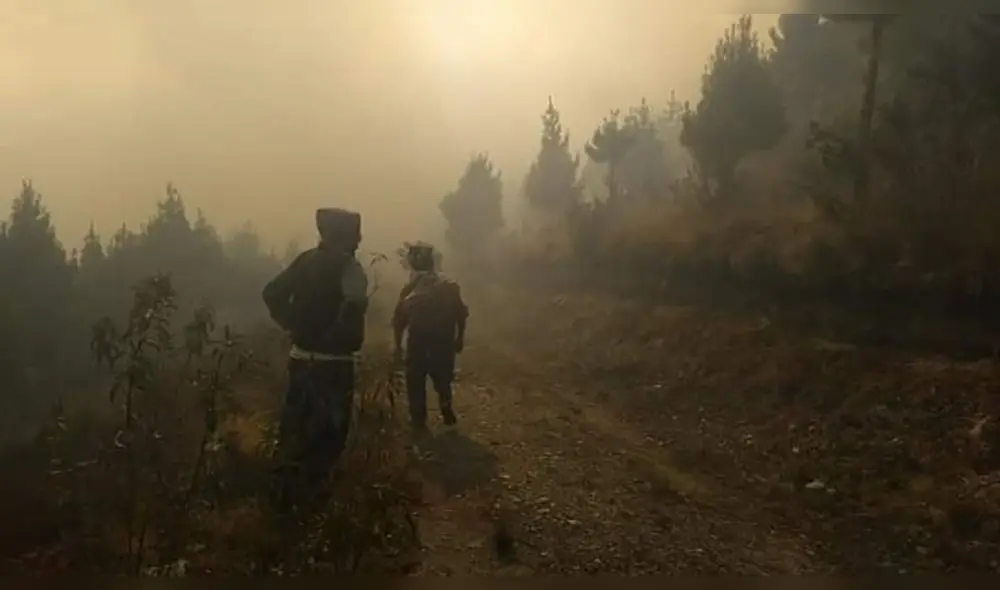 Incendio Parque del Manu Incendio Parque del Manu