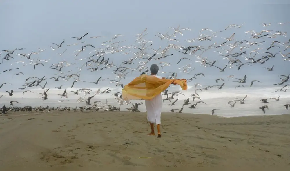 Susana Baca camina por las playas del Cañete, tierra de sus ancestros los De la Colina. Susana Baca camina por las playas del Cañete, tierra de sus ancestros los De la Colina.