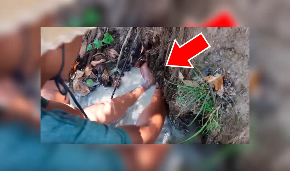 YouTube viral: 'Misteriosas criaturas' emergen de hoyo que descubrió joven [VIDEO]