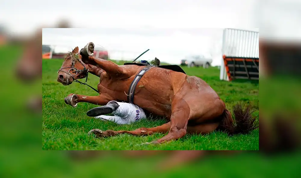 Facebook: caballo de carreras aplasta a jinete en el último obstáculo de competencia [FOTOS]
