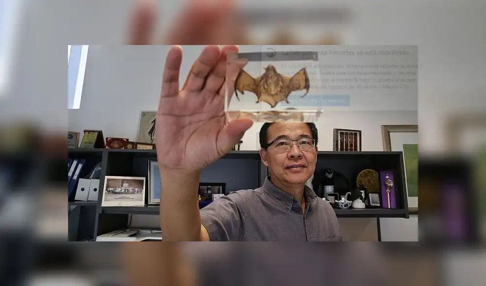 Linfa Wang es un científico que lleva 25 años estudiando a los murciélagos y sus virus. Foto: difusión