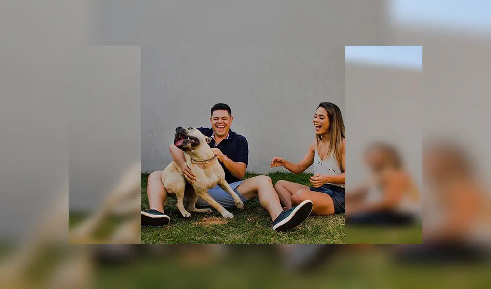 En Facebook, un travieso perro arruinó la sesión de fotos de sus dueños al colocarse delante de la cámara.