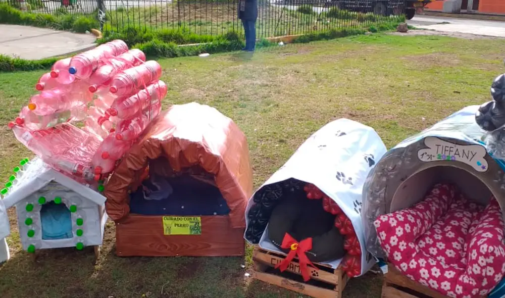 Docentes y alumnos promovieron proyecto de sensibilización. Foto: Maribel Cabrera