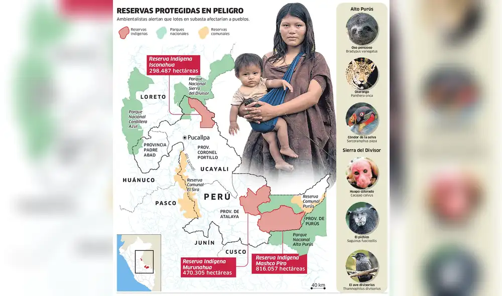 Las reservas protegidas en peligro