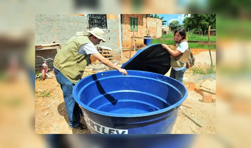 El virus del dengue se transmite pincipalmente por mosquitos de la especie 'Aedes Aegypti'. (Foto: Aleteia)