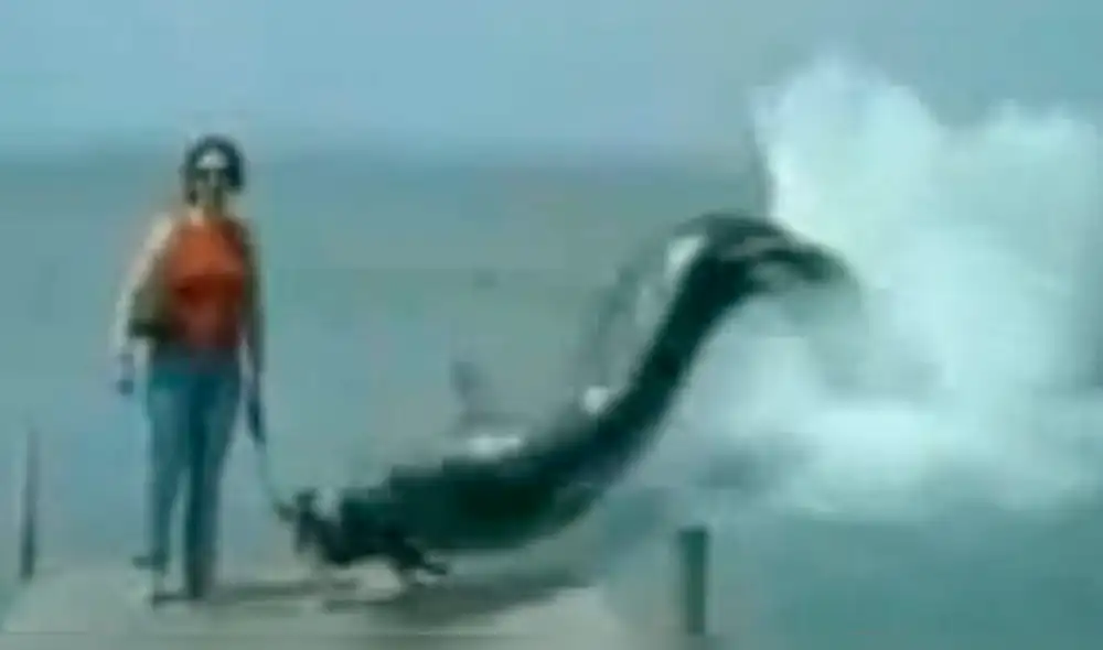 Facebook viral: así se hizo el viral de la anguila devorando un perro [VIDEO]