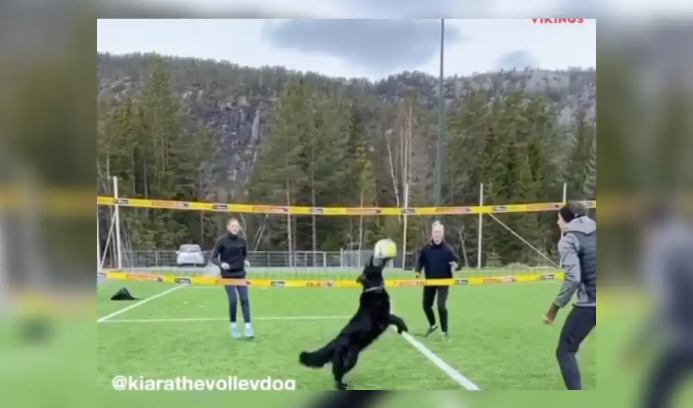 Desliza hacia la izquierda para ver más del video viral Desliza hacia la izquierda para ver más del video viral