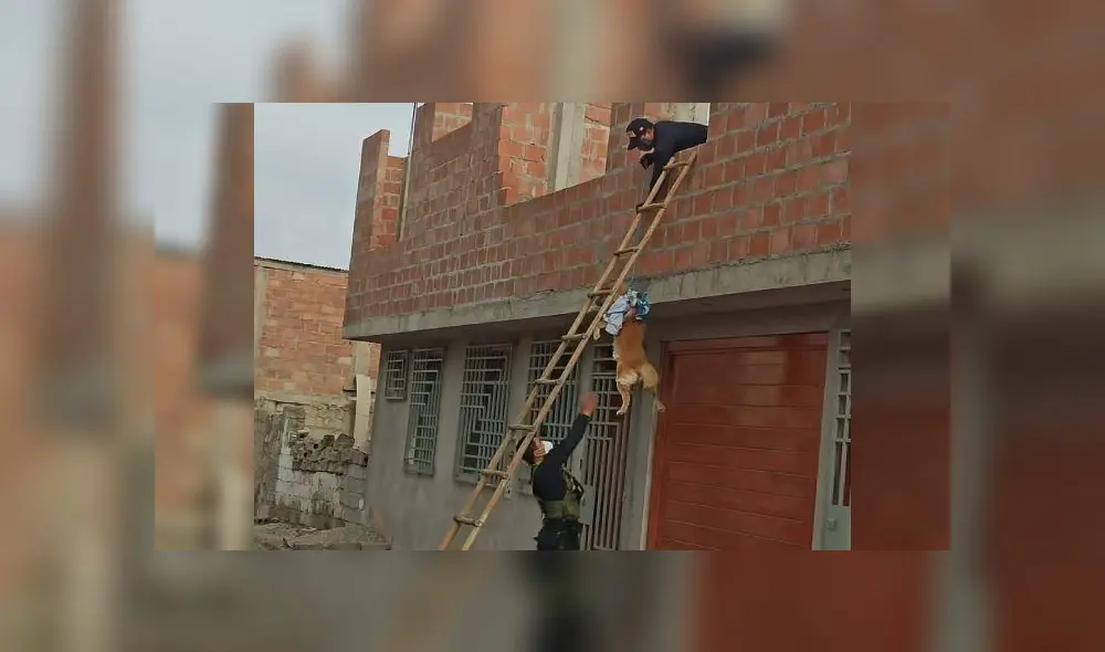 Foto: Conectados Noticias. Foto: Conectados Noticias.